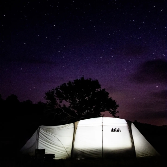 Meet your Posher, Shanel - Picture 14 of 16